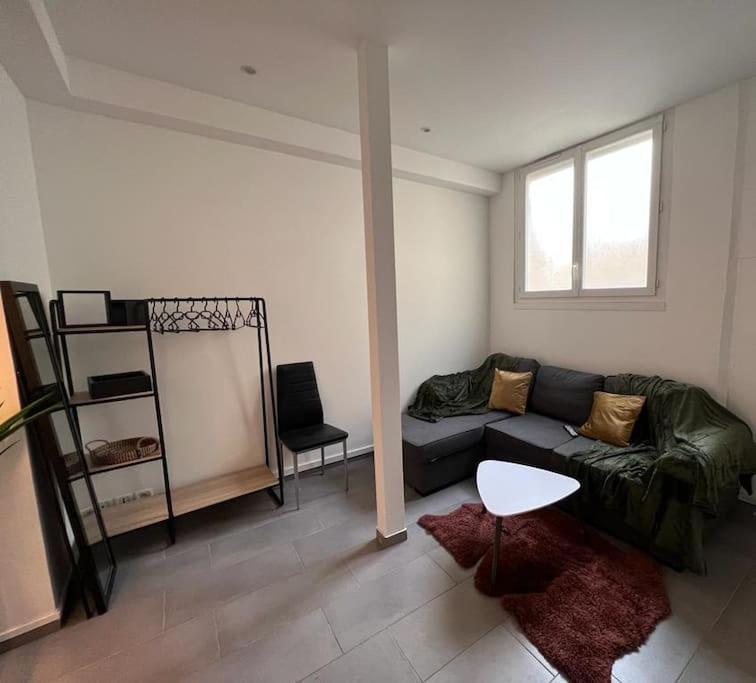 Appartement Idealement Situe Montereau-faut-Yonne Bagian luar foto